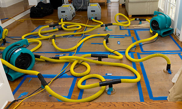 Professional Flood Damage Restoration technician working in Houston, MN